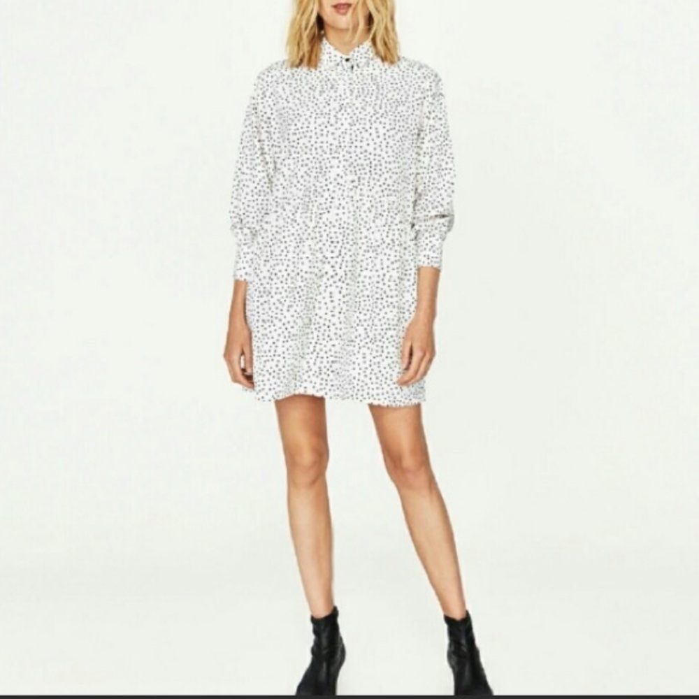 Zara Polka Dot shirt dress